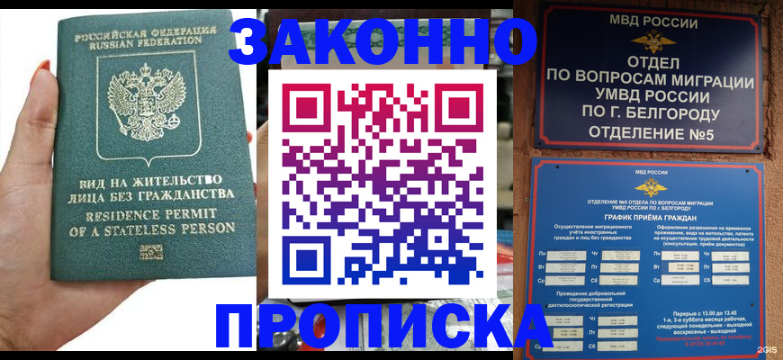 прописка для кредита в Щиграх